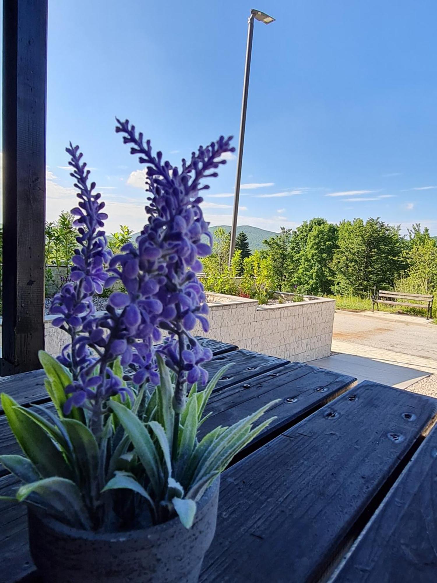 Kuca Za Odmor Hodak Plitvicka Jezera Bagian luar foto